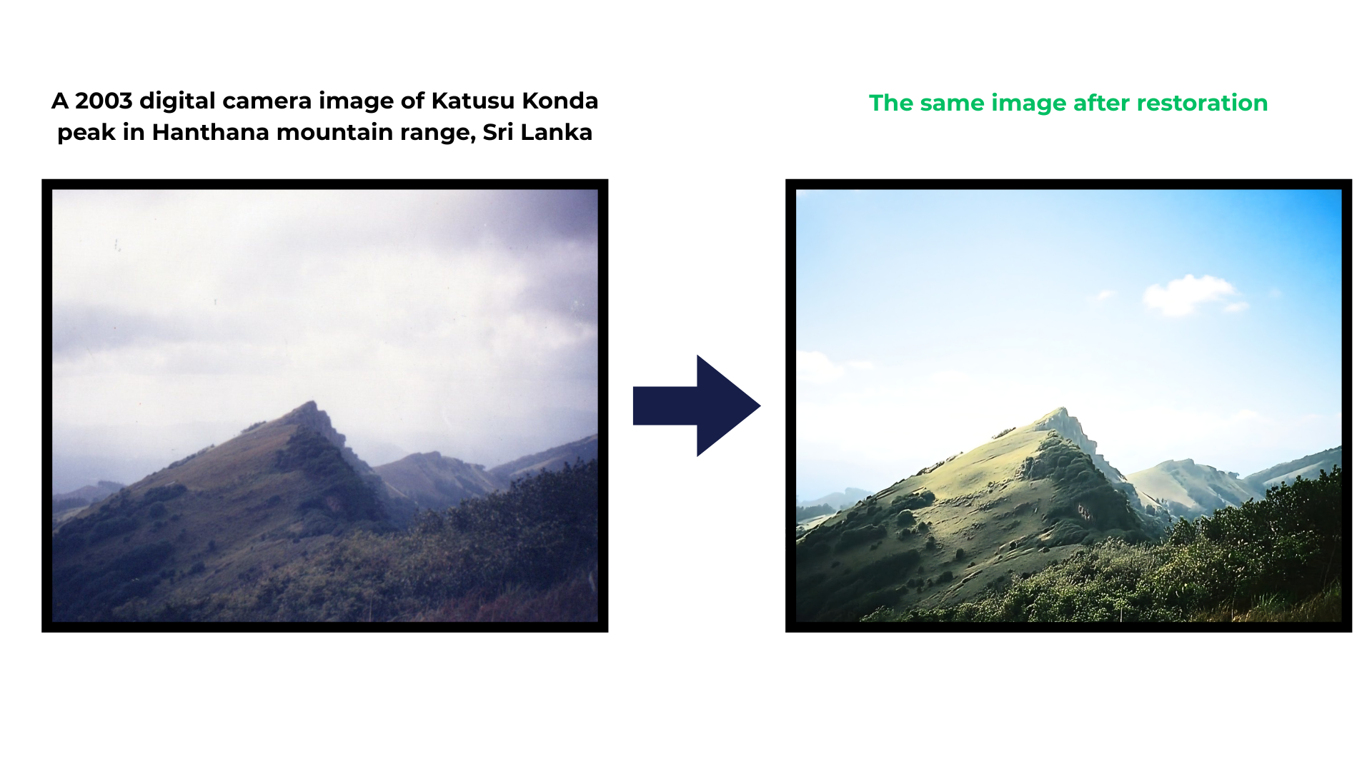 Image Restoration  and High-Quality Printing (Canvas | Metal Plate | Stone Slate )